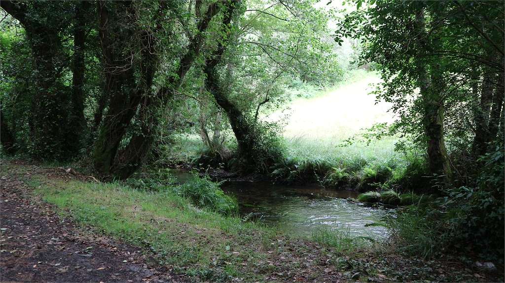 SM.16 Ruta da Agra en Oza Cesuras