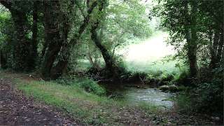 Fechas, información, programa, cartel, imágenes, mapa y ubicación de SM.16 Ruta da Agra  en  Oza Cesuras