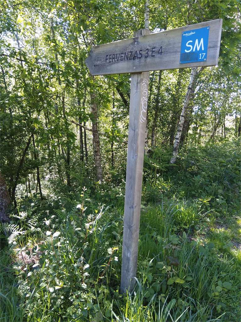 SM.17 Ruta das Fervenzas da Rexidoira en Oza Cesuras