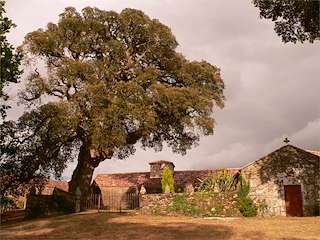 Sobreira de Callobre