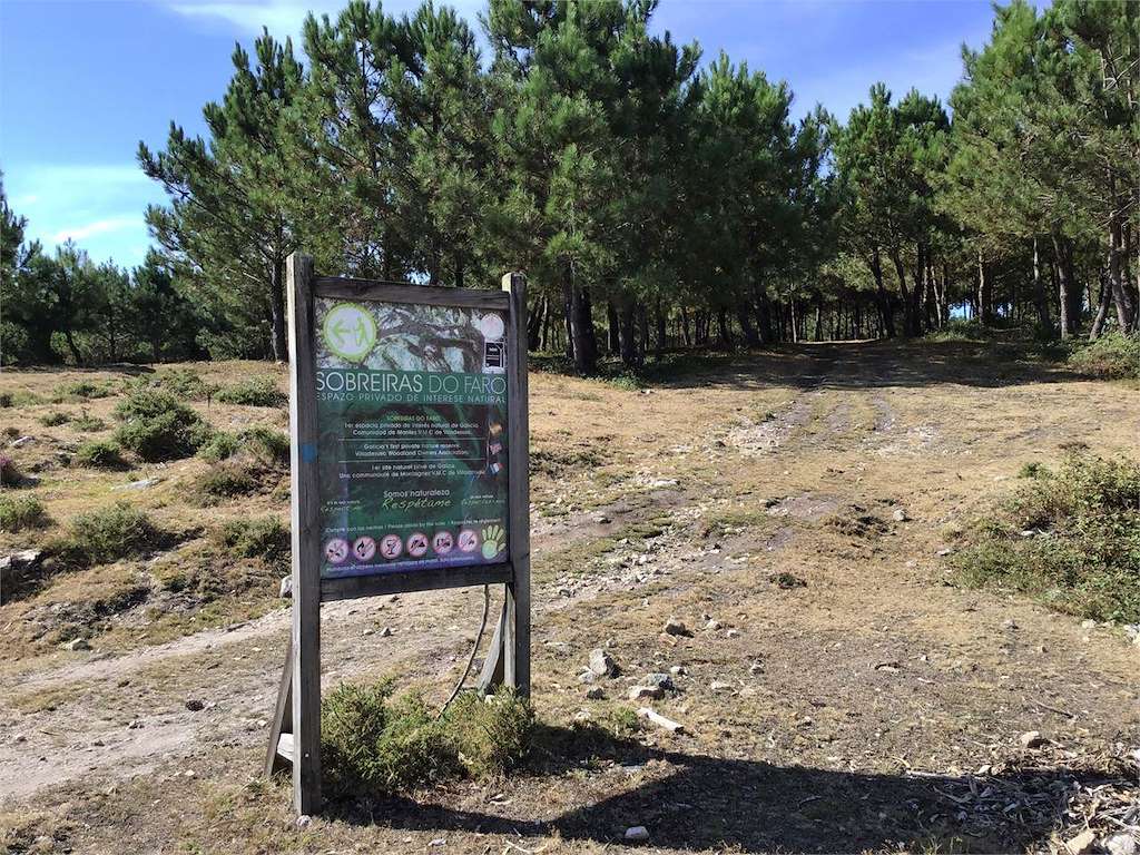 Sobreiras do Faro en Oia