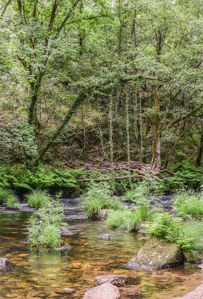 Souto da Retorta en Viveiro