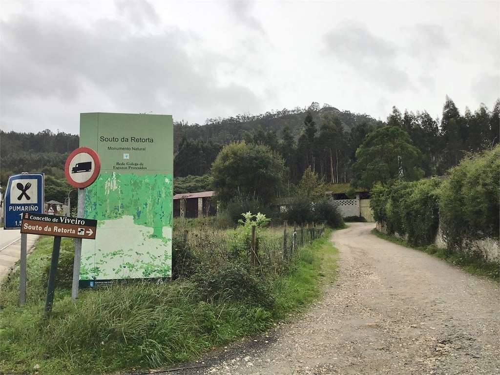 Souto da Retorta en Viveiro
