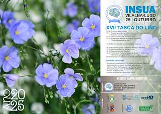 Fechas, información, programa, cartel, imágenes, mapa y ubicación de XVII Tasca do Liño (2025)  en  Vilalba