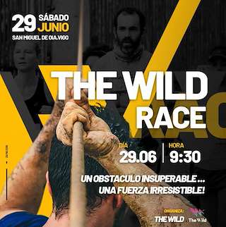 VI Festival The Wild en Vigo