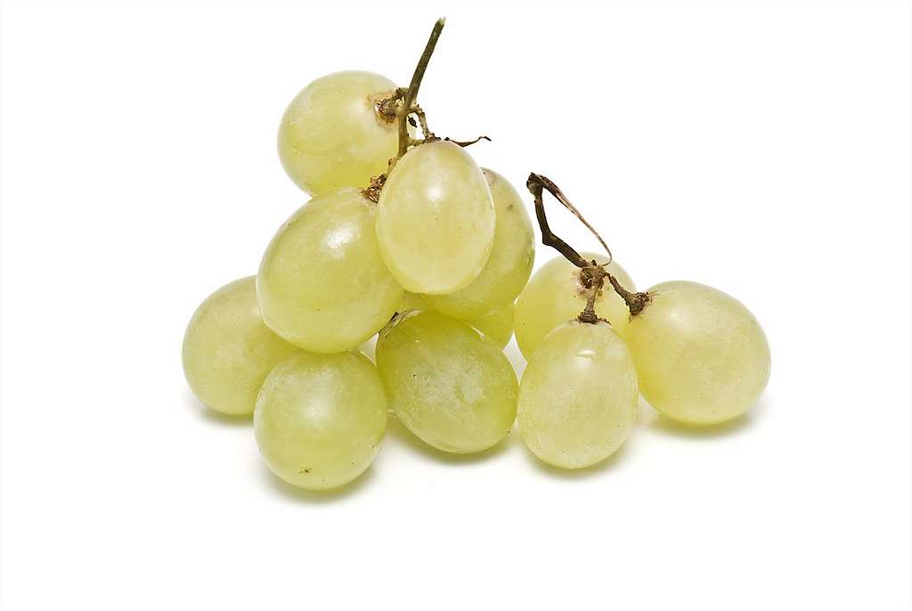 Toma das uvas (2022) en Vilagarcía de Arousa