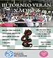FiestasRelacionadas III Torneo de Verán de Xadrez  en Salceda de Caselas