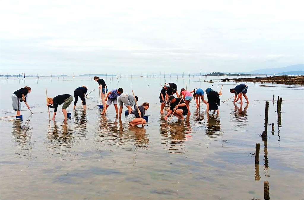 Turismo Activo AmarCarril en Vilagarcía de Arousa