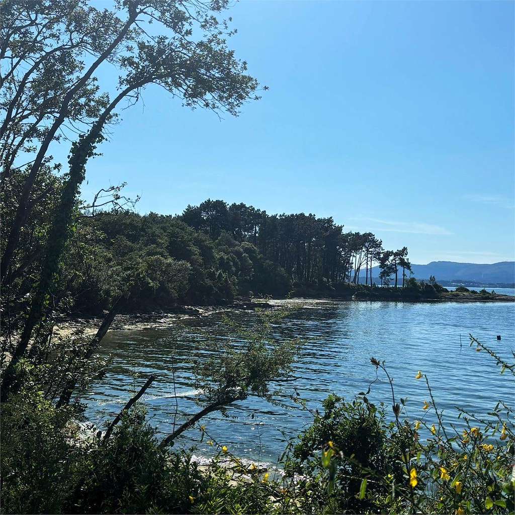 Turismo Activo AmarCarril en Vilagarcía de Arousa
