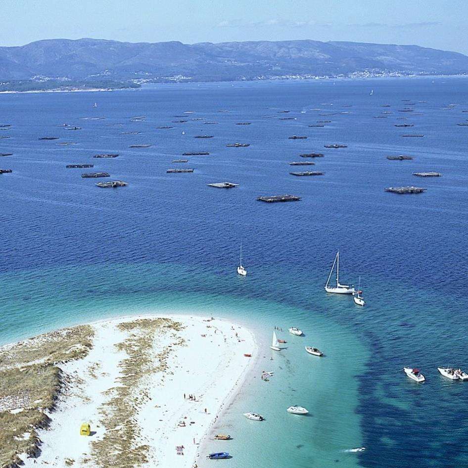 Turismo Arousa Experience en Vilagarcía de Arousa