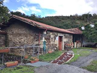 Turismo Cinegético Covas 21