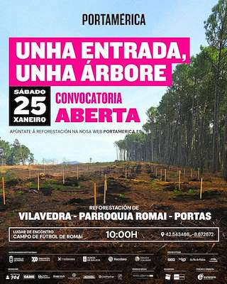 Unha Entrada, Unha Árbore en Caldas de Reis