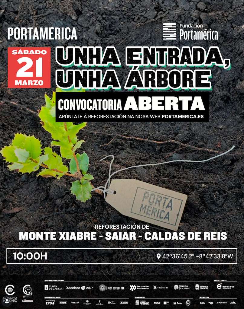 Unha Entrada, Unha Árbore en Caldas de Reis