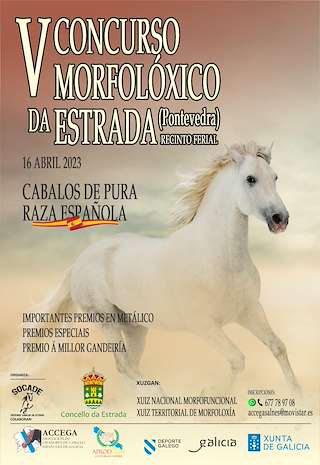VII Concurso Morfolóxico Pura Raza Española en A Estrada