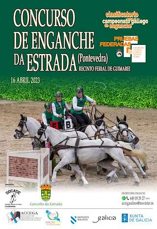 VII Concurso Morfolóxico Pura Raza Española en A Estrada