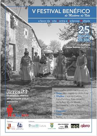 VI Festival Benéfico  en Vilalba