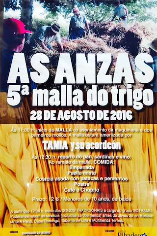XII Malla do Trigo de As Anzas en Ribadeo
