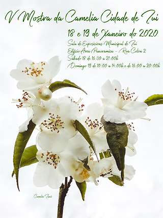 XI Mostra da Camelia en Tui