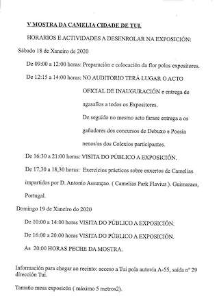 XI Mostra da Camelia en Tui