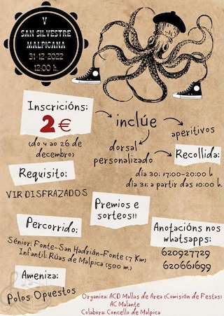 VII San Silvestre Malpicana (2025)