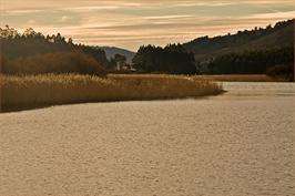 XVI Unha Noite no Medievo en Cabana de Bergantiños