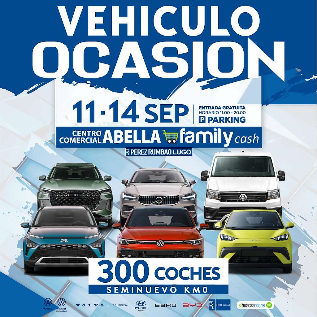 Vehículo Ocasión (2025) en Lugo