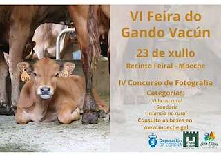 VII Feira de Gando Vacún en Moeche