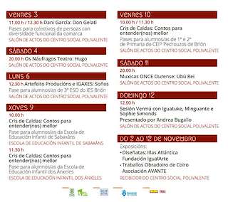 VIII Festival Brión Inclúe