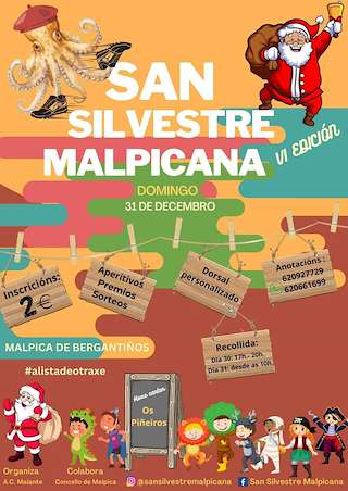 VII San Silvestre Malpicana (2025)