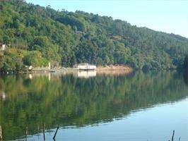 Viajes en Catamarán por el Río Miño en A Arnoia
