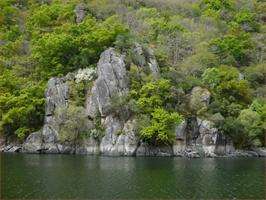 Viajes en Catamarán por el Río Miño en A Arnoia