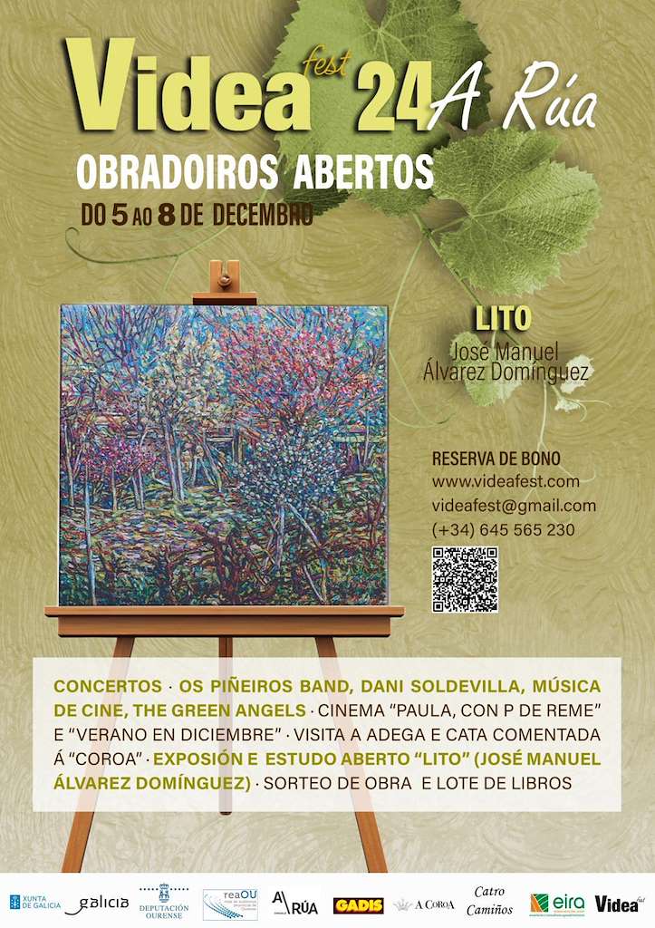 Videa Fest en A Rúa