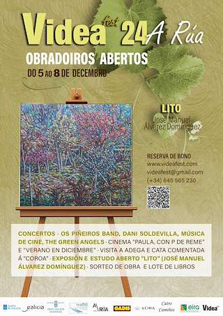 Fechas, información, programa, cartel, imágenes, mapa y ubicación de Videa Fest  en  Vilagarcía de Arousa
