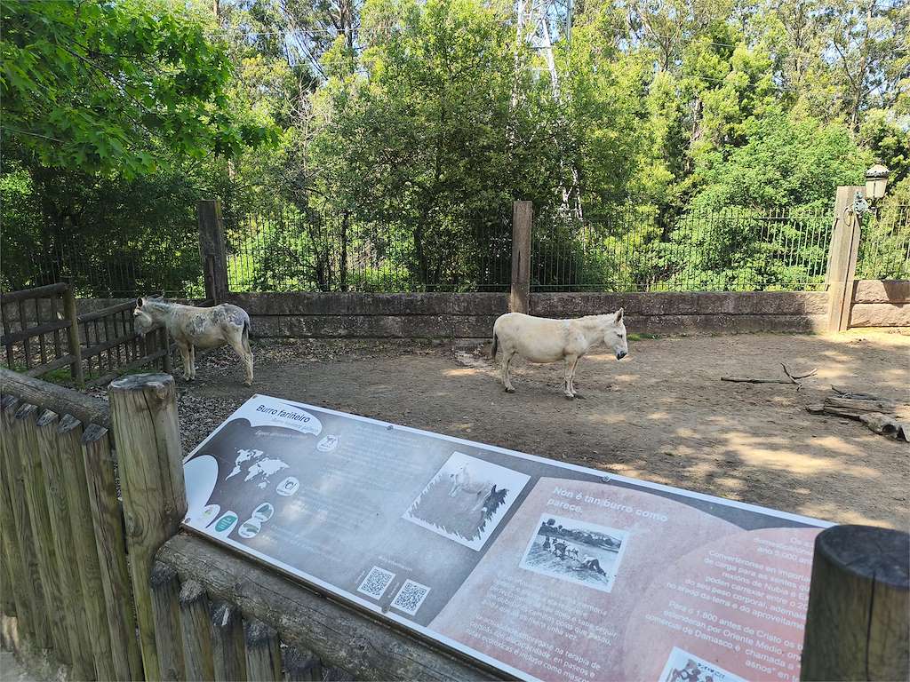 Vigo Nature
