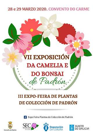 X Exposición da Camelia e do Bonsai en Padrón