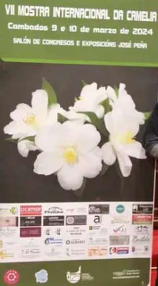IX Mostra Internacional da Camelia en Cambados