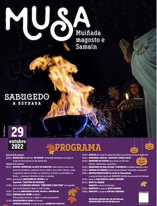 X MUSA de Sabucedo en A Estrada