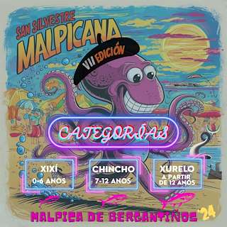 VIII San Silvestre Malpicana (2025)