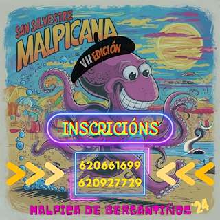 VIII San Silvestre Malpicana (2025)