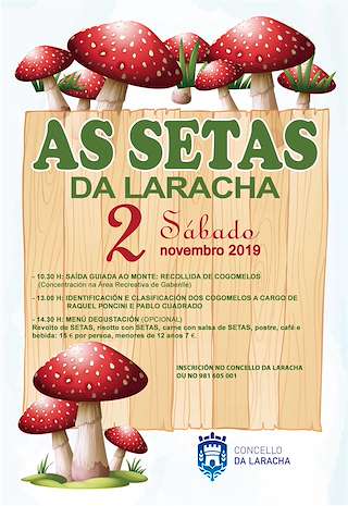 XII Xornada Micolóxica - As Setas en Laracha