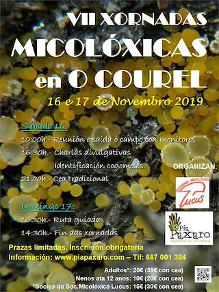 XII Xornadas Micolóxicas no Courel (2025) en Folgoso do Courel