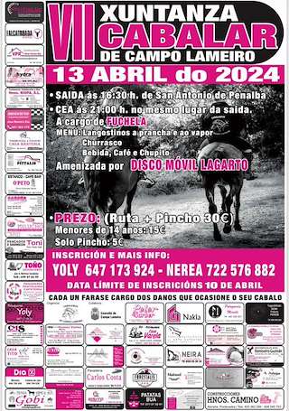 VIII Xuntanza Cabalar en Campo Lameiro