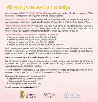 X Exposición da Camelia e do Bonsai en Padrón