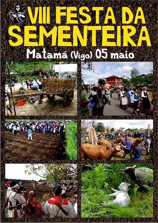 XII Festa da Sementeira do Millo de Matamá en Vigo