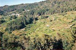 Virxe da Reguenga de Prencibe en Lobios