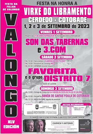 Virxe do Libramento - XLVII Festa da Filloa de Valongo en Cerdedo-Cotobade