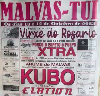 Virxe do Rosario de Malvas en Tui