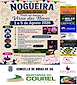 FiestasRelacionadas Virxe das Neves de Nogueira (1) en Ribas de Sil