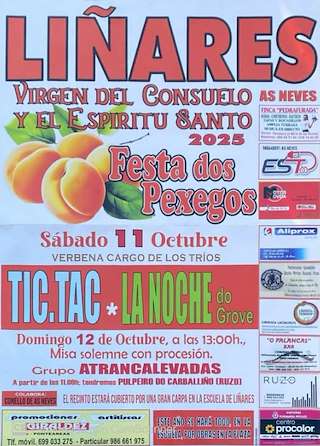 Fechas, información, programa, cartel, imágenes, mapa y ubicación de Virxen do Consolo e o Espiritu Santo - Festa dos Pexegos  en  As Neves