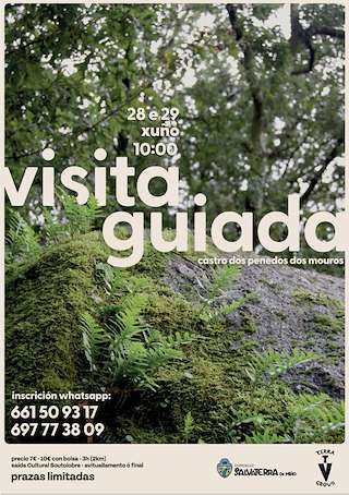 Fechas, información, programa, cartel, imágenes, mapa y ubicación de Visita Guiada ao Castro dos Penedos dos Mouros  en  Salvaterra do Miño
